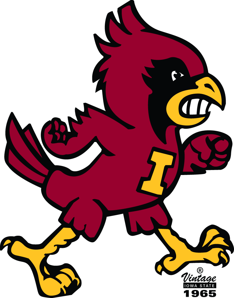 Iowa State Cyclones 1965-1977 Alternate Logo DIY iron on transfer (heat transfer)